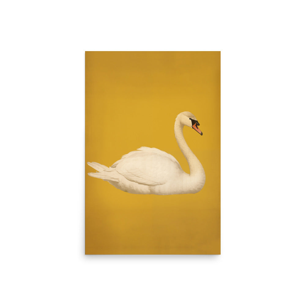 Swan – CYL
